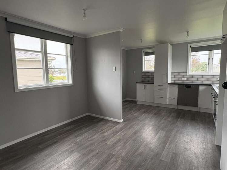 233 Balmoral Drive Tokoroa_5