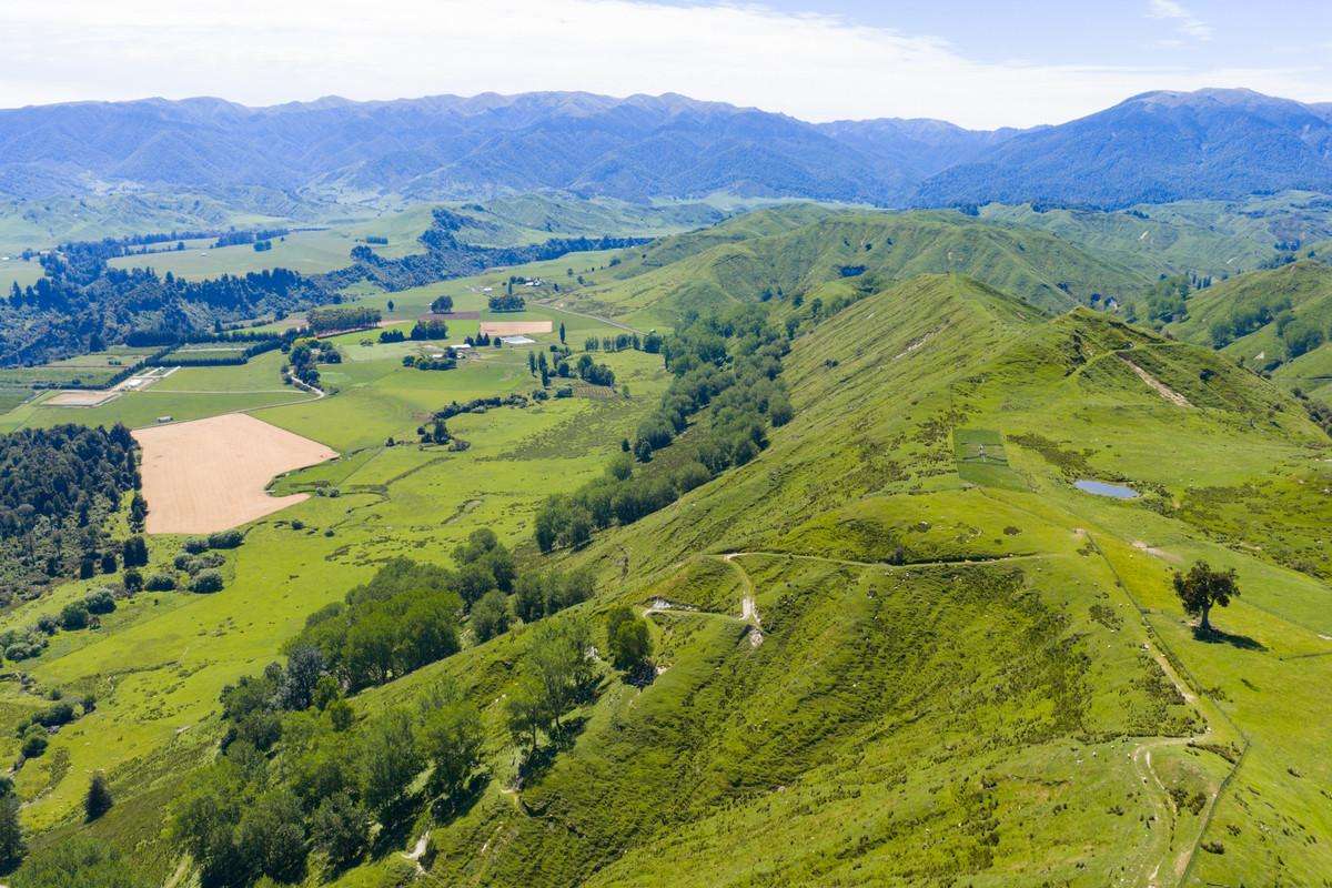 1691 Kawhatau Valley Road_4