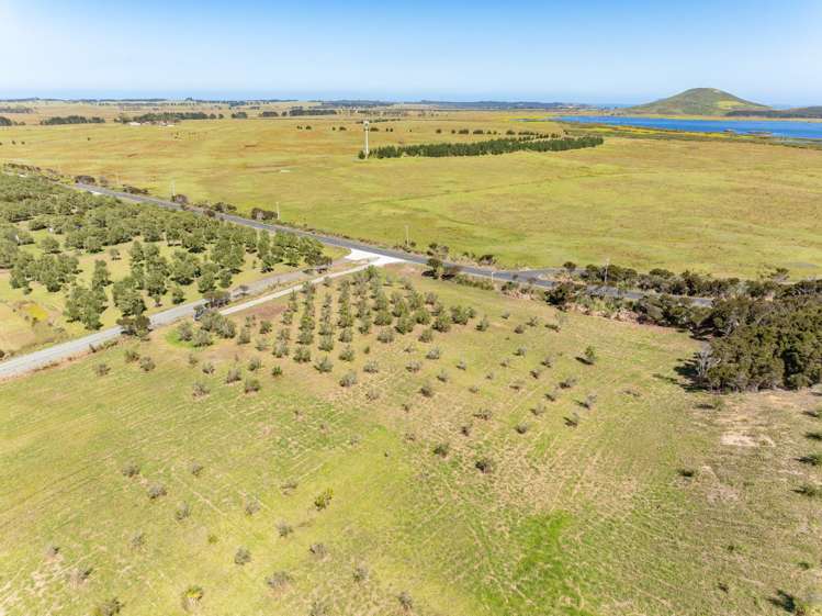 1426A Inland Road Karikari Peninsula_9