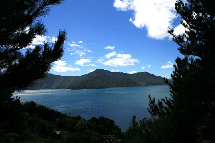 South East Bay Kenepuru Sound_11