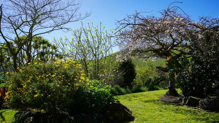 56 Maratoto Road Hikutaia_16