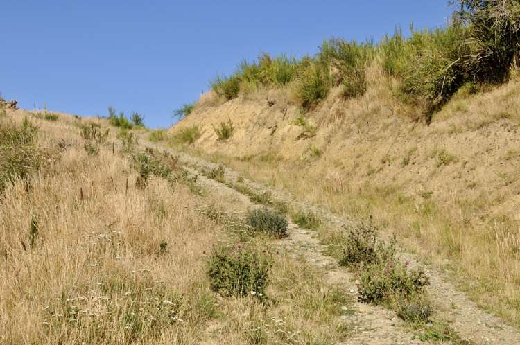 Diggers Gully Road Kurow_9