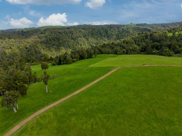 487 Pekanui Road Puketotara_2