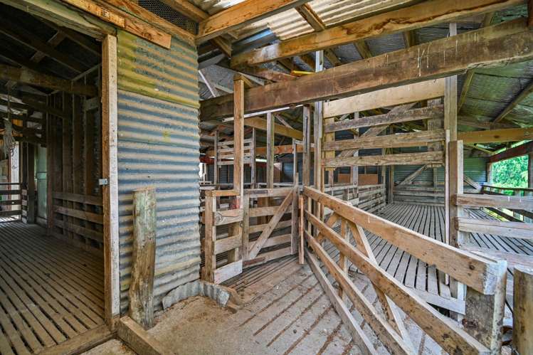 1544 Kahuranaki Road Kahuranaki_28