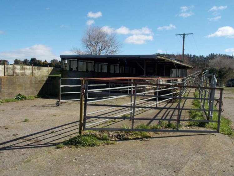 222 Lincoln Road Inglewood_15