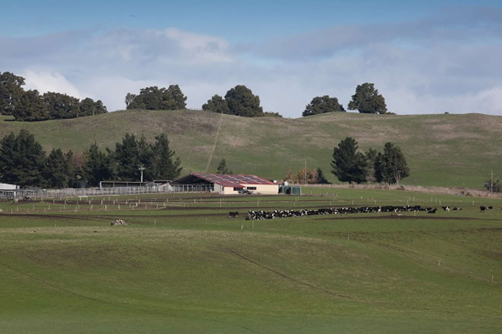 Capital flow in rural sector