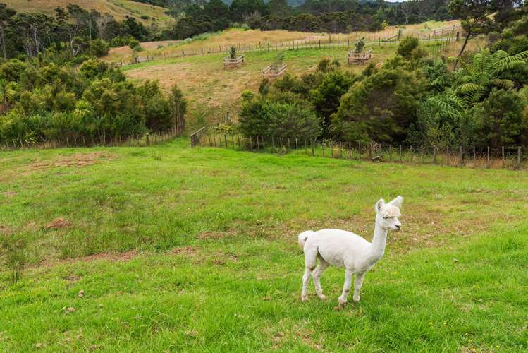 45 Donaldson Drive Coatesville_10