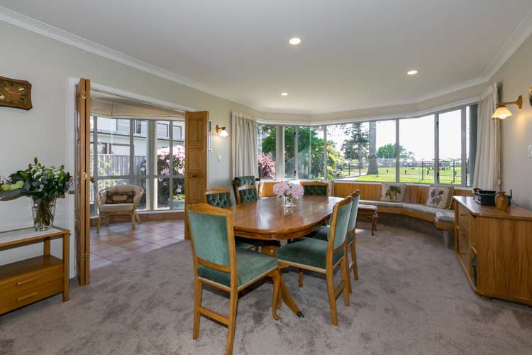 33 Mcdonald Street Napier South_6