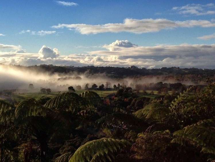 59 Robinson Road Coatesville_17