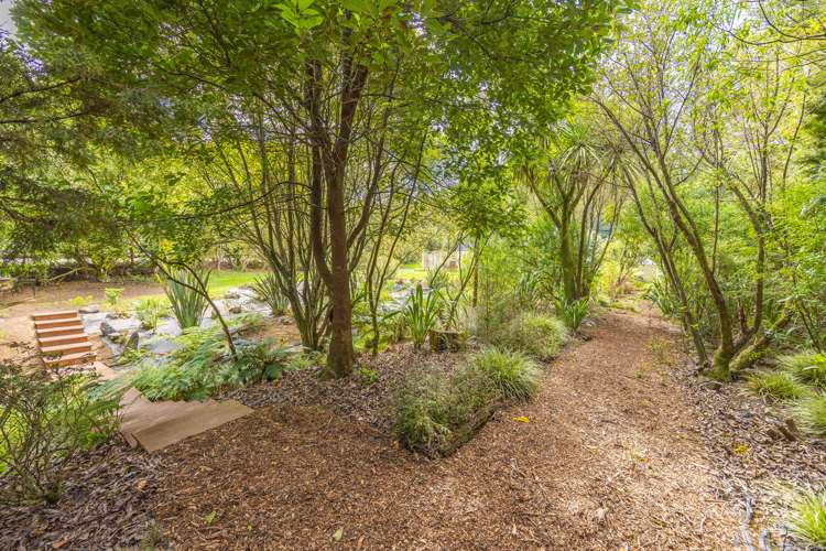 3 Bush View Drive Raglan_29