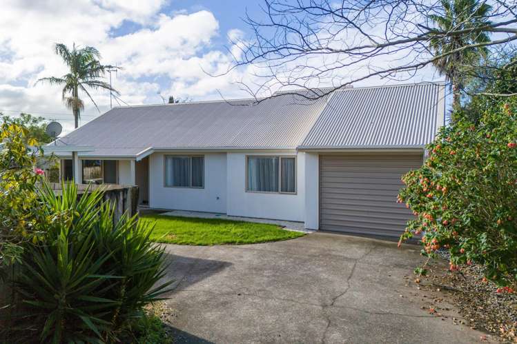 11b Gray Street Katikati_3