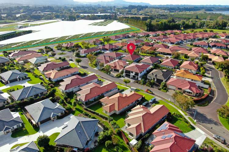 6 Muirfield Crescent Aongatete_13