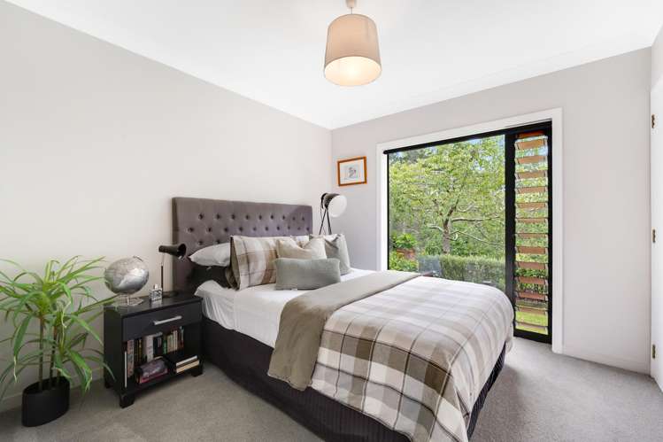 18 Ara-Kotinga Whitford_43