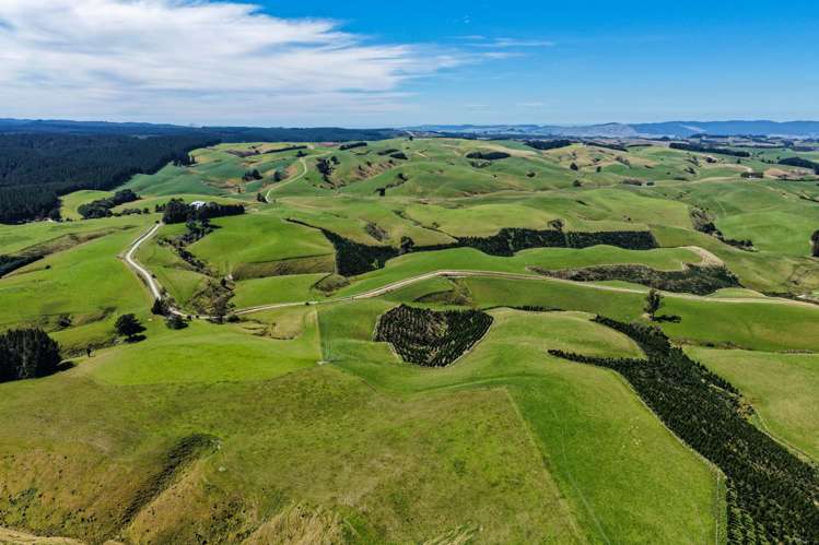 759 Waitahuna Gully Road Lawrence_20