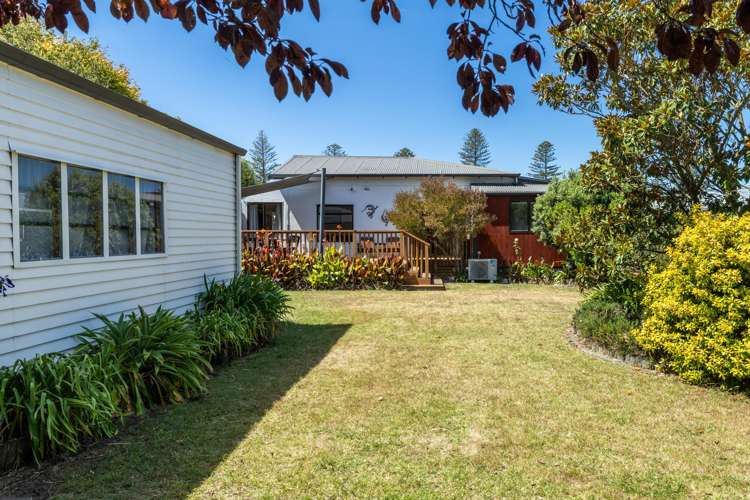 69 Mcgrath Street Napier South_2