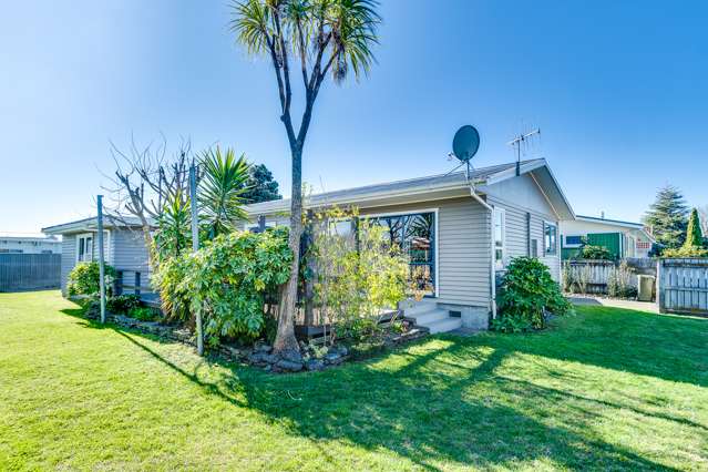 49 Leicester Avenue Tamatea_4