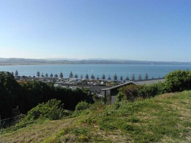 12a Roslyn Road Bluff Hill_2