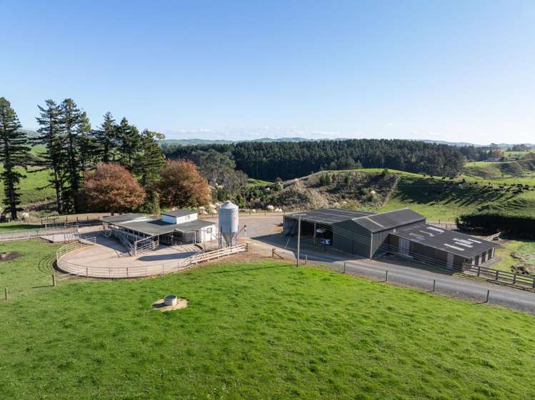 24 Waterworks Road Morrinsville_13