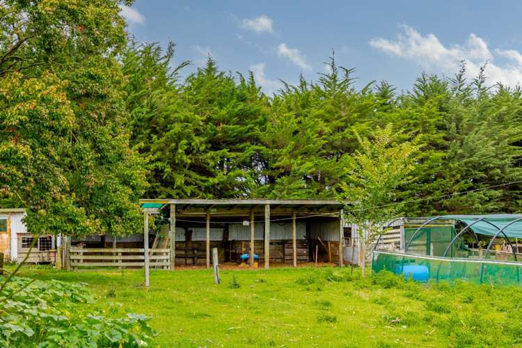 16 Swamp Road Ongaonga_21