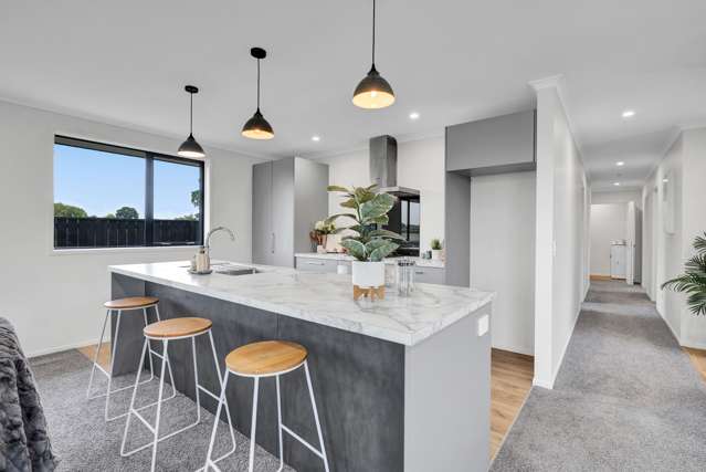 20 Papawhero Drive Bell Block_3