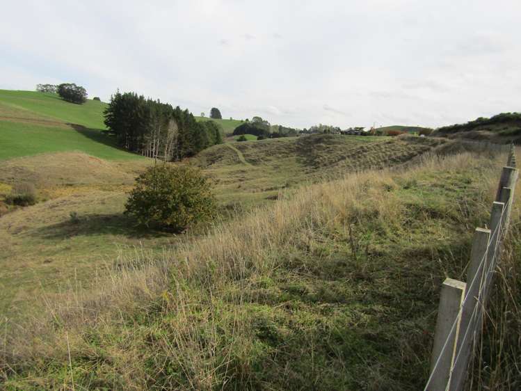 Te Tahi Road Pirongia_15