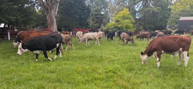 6520 Wilson Road (SH2) Netherton_3