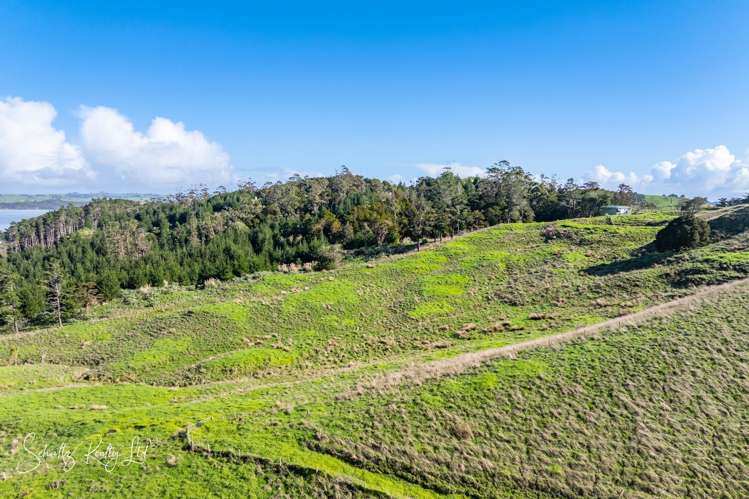 Massey Road Maungaturoto_33