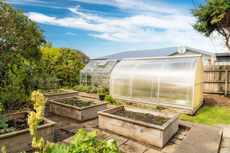 15 Lamond Street West Rosedale_6