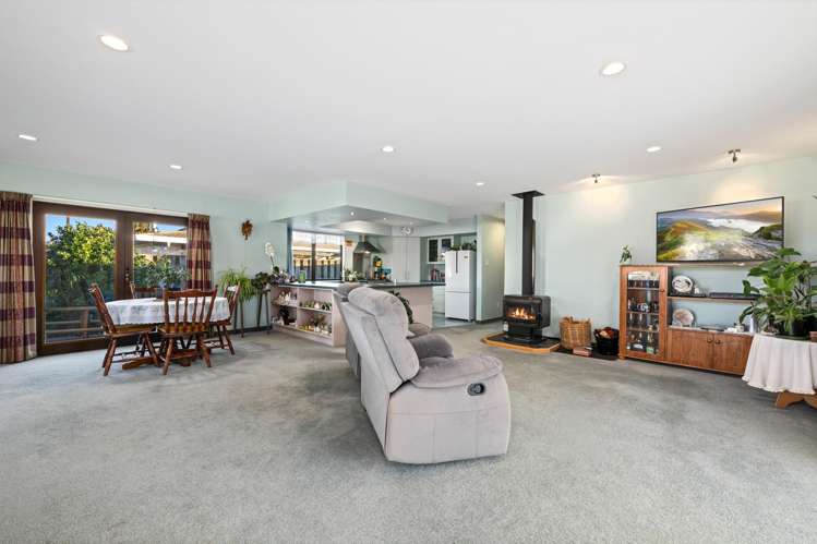 24 Brydon Street Renwick_11