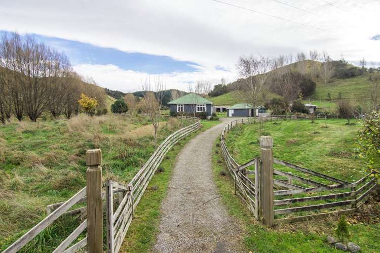 435 Jacksons Line Mauriceville_3