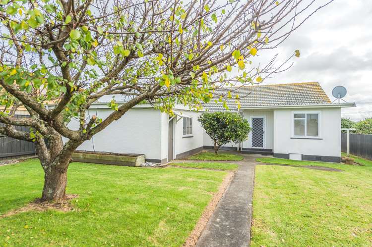 181 Parsons Street Tawhero_1