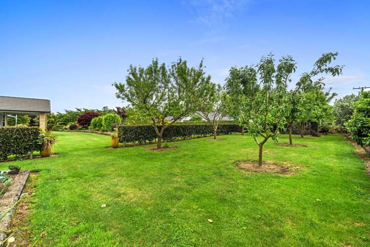 8 September Grove Tamahere_22