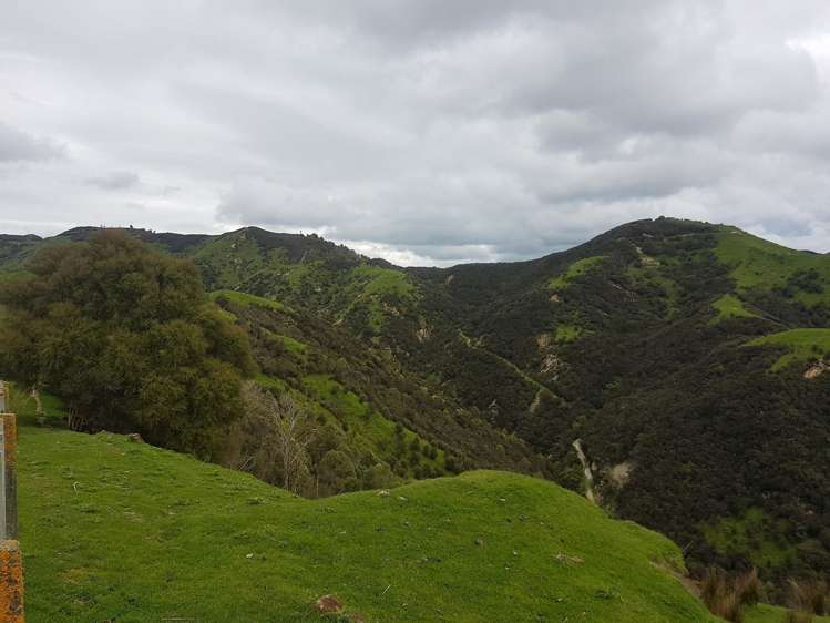 4064 State Highway 4 Kakatahi_5