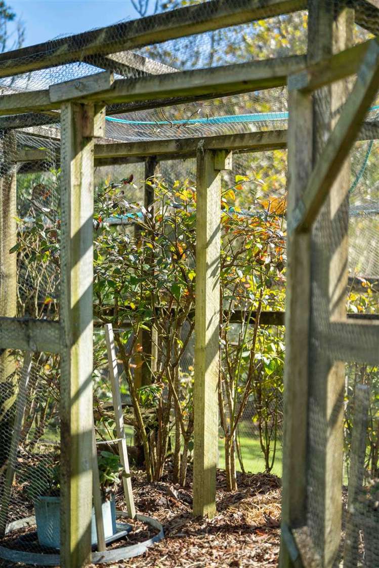 46 Herbert Drive Whangamata_29