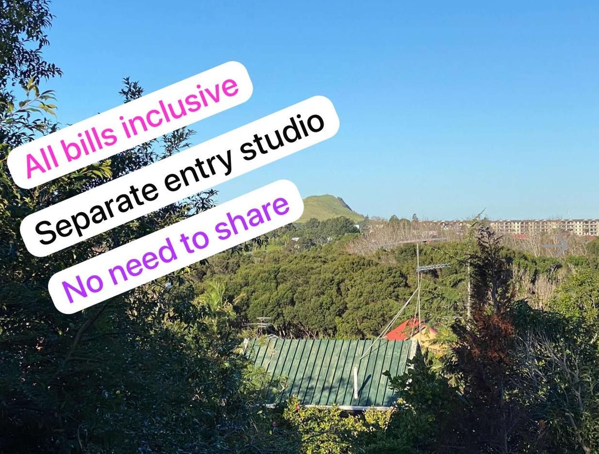 Address withheld Remuera_0