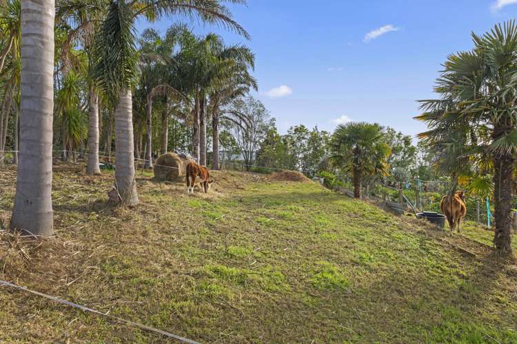 73b Maungatawhiri Road Raglan_15