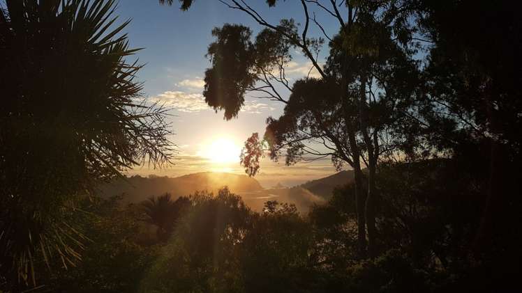 119 Fowler Access Road Puhoi_0