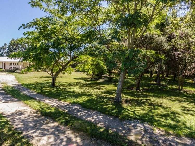 383 Norfolk Road Carterton_14