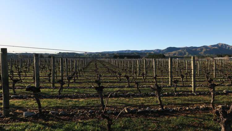 816 Waihopai Valley Road Waihopai Valley_10