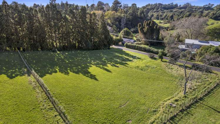 60 Saxton Road Upper Vogeltown_2