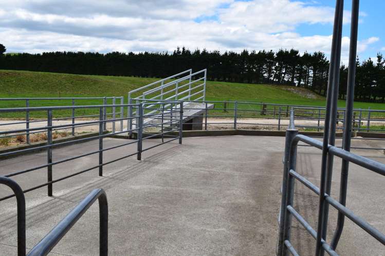 434 Pukehoi Road Eketahuna_6