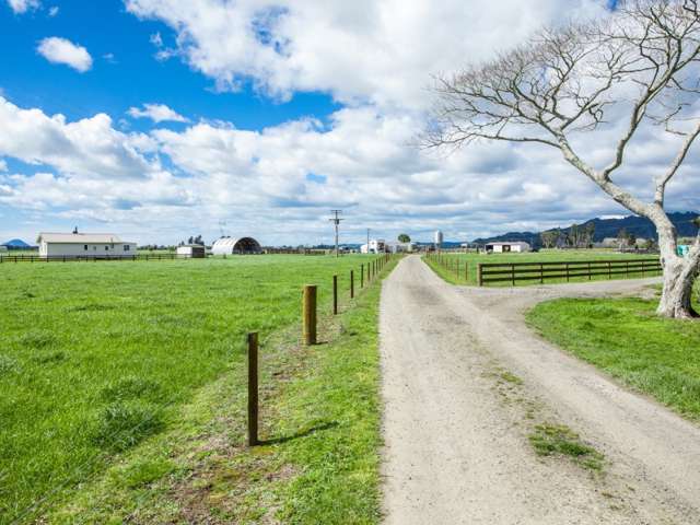 311a Hydro Road Edgecumbe_2