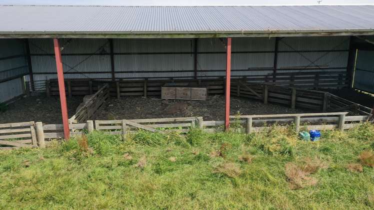 1138 Mataura Island-fortrose Road Waimahaka_8