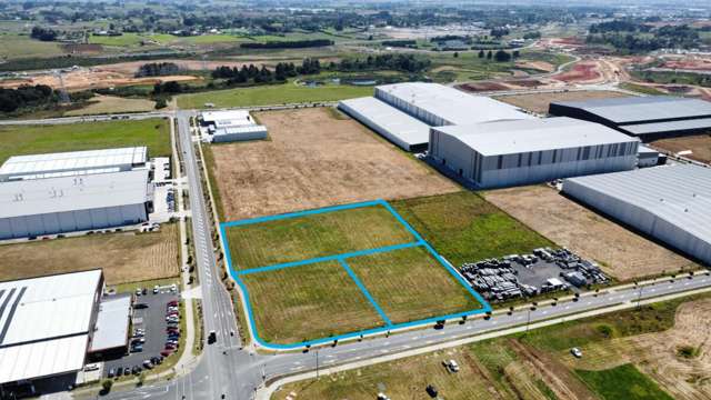 16 Bill Stevenson Drive & 1 & 3 Jack Stevenson Road Drury_2