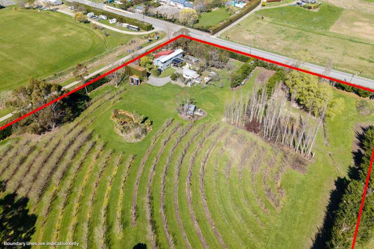 5 Mona Vale Street Waikari_35