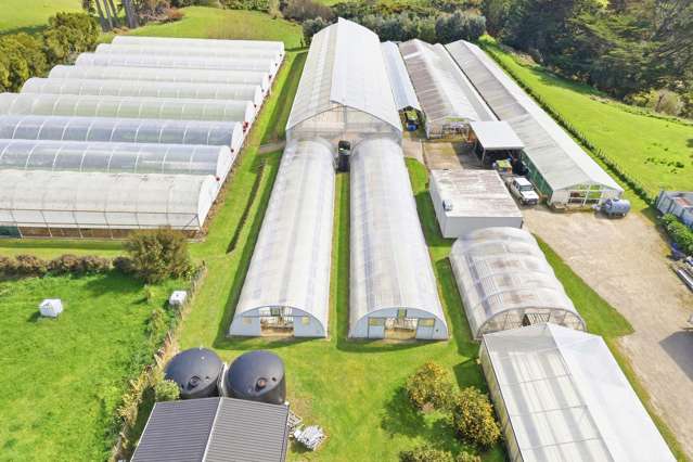 16 Lupton Street Waverley_3