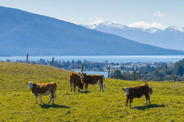 66 Forest Burn Lane Te Anau_9