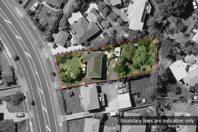 62 Botany Road Botany Downs_1