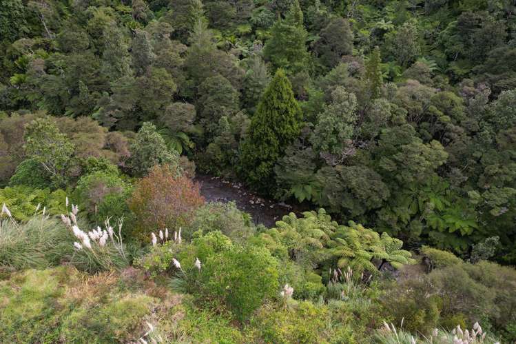 495 Kopu Hikuai SH 25A Thames-coromandel_7