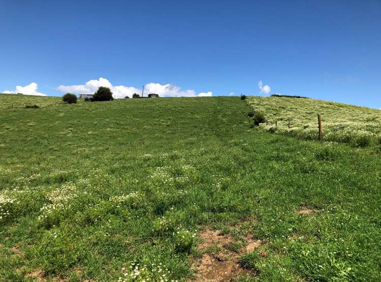 1564 State Highway 31 Kawhia Road Otorohanga_33